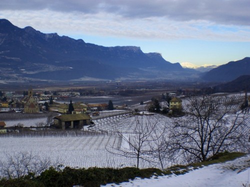 Egna - Panorama sui vigneti