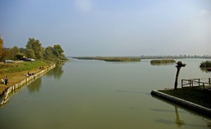 Il lago di Campotto