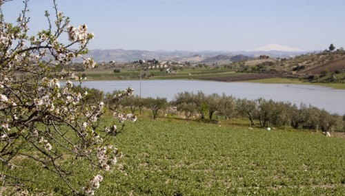 Sommatino - E' primavera Sommatino - E' primavera