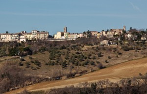 Maiolati e le sue colline