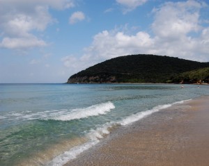 Il risveglio della natura..