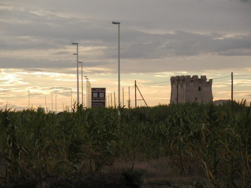 Maruggio - Torre dell'Ovo si nasconde tra i canneti di Campomarino Maruggio - Torre dell'Ovo si nasconde tra i canneti di Campomarino