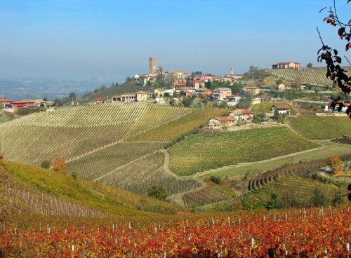 Barbaresco - Barbaresco Barbaresco - Barbaresco