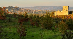 Il Castello di Fiore