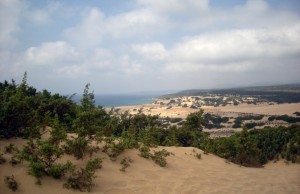 Le infinite dune di Piscinas