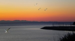 sole terra e mare…infinito amore