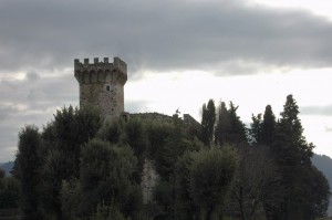 La torre fra i rami