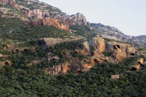 Nel regno dei grifoni