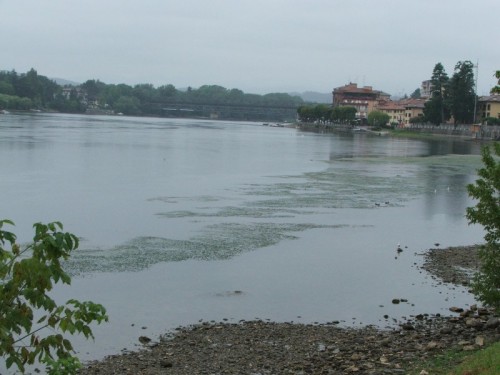 Sesto Calende - Il riva al Ticino,quel dì a Sesto Calende...