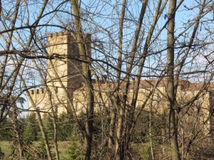 Nascosto dalle piante