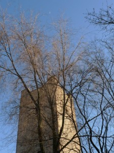 La torre, i rami e la luna
