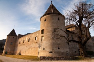 Il castello e l’albero