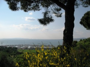 Il porto turistico di Scarlino