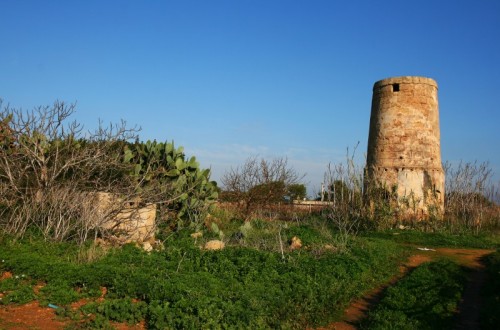 Petrosino - Almeno vediamola al sole questa torre "Arcana"
