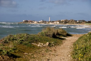 Un sentiero verso il faro