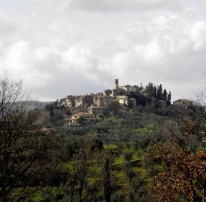 Fra le colline di Terricciola