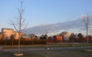 La luce del pomeriggio ingentilisce il profilo dell’hinterland