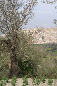 Veduta con Leonforte