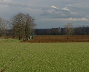 Il magico verde del grano