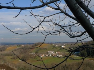 La frazione Magnano tra i rami