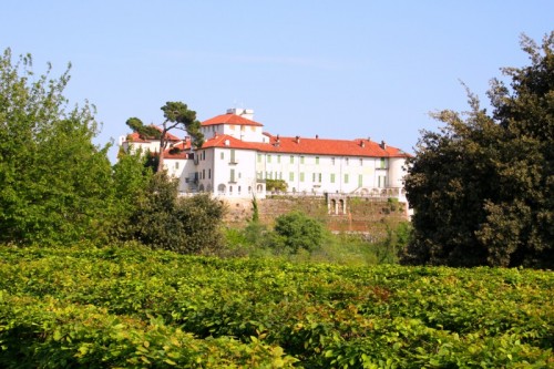 Caravino - "castello bianco in cornice verde"