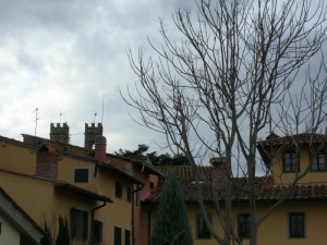 Fibbiana  torri e camini