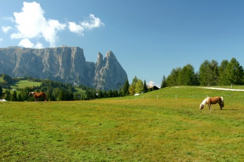 Castelrotto - L'alpe di Siusi e lo Sciliar Castelrotto - L'alpe di Siusi e lo Sciliar