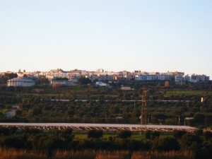 Tra uliveti e vigneti