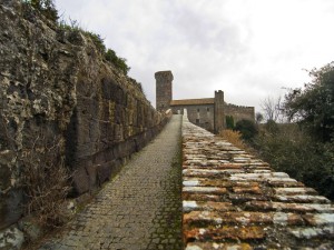Vulci -  Vista dal ponte del castello - n.2