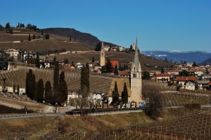 Sulla strada del vino