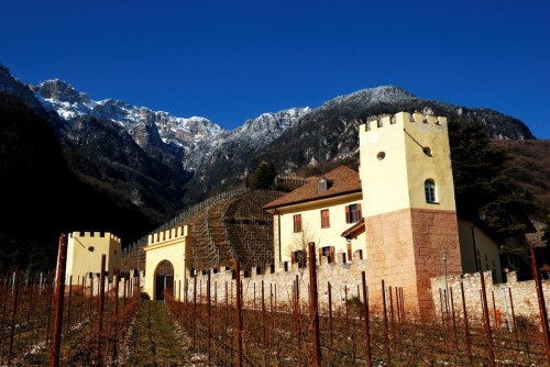Termeno sulla Strada del Vino - Il castello dove si discute di vino