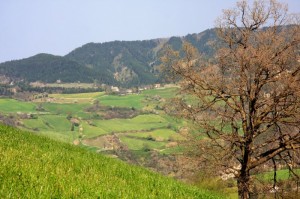 Qualche casolare, colline, prati, boschi