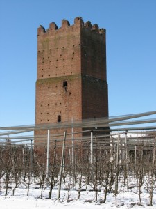 Torre e frutteti