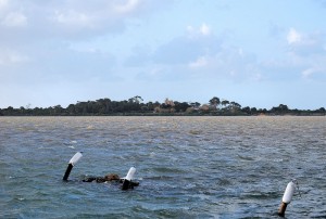 “un mare di fascino”