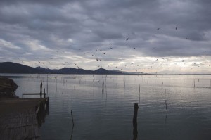 San Feliciano sul Lago Trasimeno