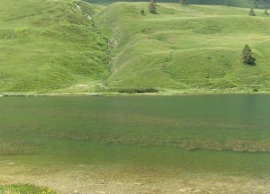 verde lago al colle