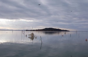 Isola Polvese, tramonto