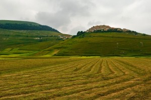 Castelluccio di Norcia