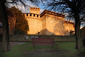 Una cornice inusuale… due alberi e una panchina