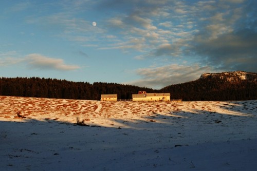 Rotzo - Giretto delle 3 Malghe: Malga Poselaro 1