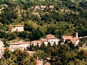 dall’alto foto del centro di Montemignaio