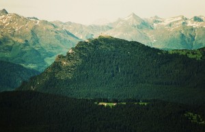 Il costone delle Spitz Vezzena Visto dal Campomolon