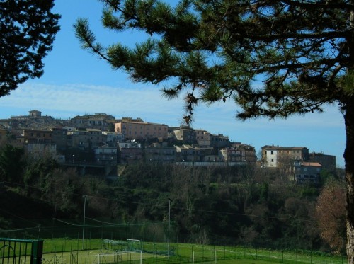 Magliano Sabina - Sotto i pini Magliano Sabina - Sotto i pini