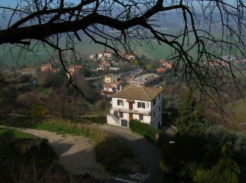 Magliano Sabina - Quel ramo...