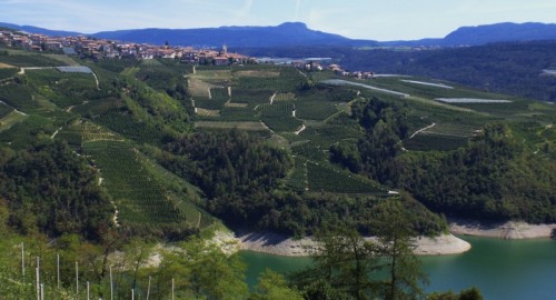 Sanzeno - bella la vista, tra i meli e il lago Sanzeno - bella la vista, tra i meli e il lago