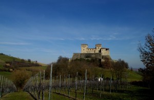Dove il vino e buono