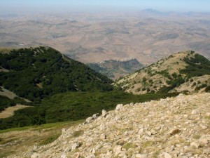 Polizzi Generosa (PA)