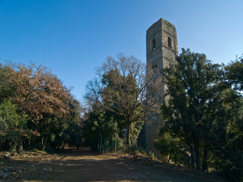 ''Parco Maremma - S.Rabano - la torre'' - Grosseto