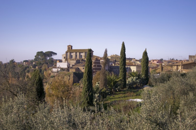 ''e questa siepe che da tanta parte de l’ultimo orizzonte il guardo  esclude'' - Castel Sant'Elia