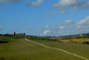 Fizzano